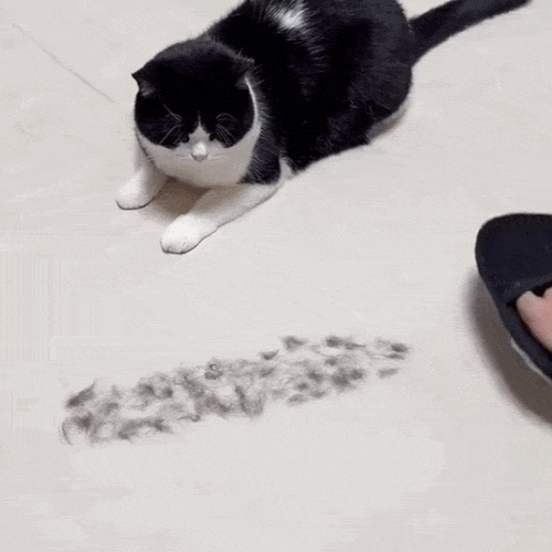 Mănuși Magice pentru Blana Animalelor
